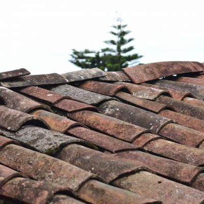 When Should I replace My Shingles?