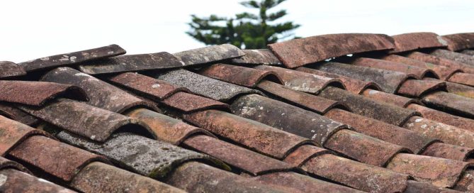 When Should I replace My Shingles?