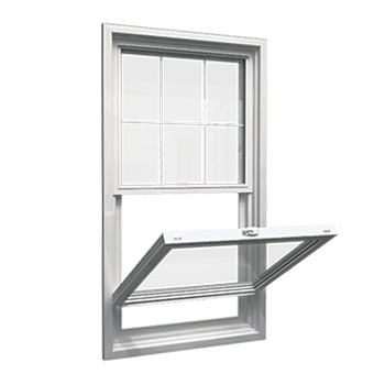 single hung window replacement