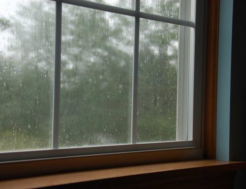 The Role of Windows in Creating a Weather-Ready Home