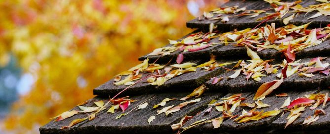 Why Fall Is the Best Time for Roof Repairs Before Winter Arrives - CAPOR Renovations